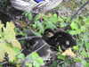20200504172838-DSCN2250.JPG