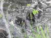 20200504172942-DSCN2253.JPG