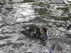 20200504173017-DSCN2258.JPG