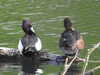 20200504173128-DSCN2260.JPG
