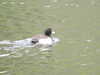 20200504173153-DSCN2261.JPG