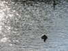 20200504173304-DSCN2264.JPG