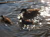 20200504173328-DSCN2266.JPG
