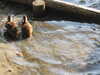 20200504173357-DSCN2269.JPG