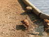 20200504173429-DSCN2271.JPG