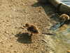 20200504173436-DSCN2272.JPG