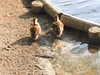 20200504173450-DSCN2274.JPG