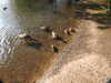 20200504173536-DSCN2276.JPG