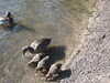 20200504173544-DSCN2277.JPG