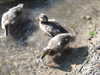 20200504173547-DSCN2278.JPG