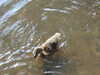 20200504173605-DSCN2279.JPG
