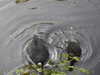 20200504174010-DSCN2283.JPG