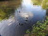 20200504174128-DSCN2286.JPG