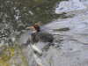 20200504174132-DSCN2287.JPG