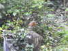 20200506163705-DSCN2292.JPG