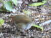 20200506165435-DSCN2296.JPG