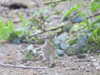 20200506165545-DSCN2300.JPG