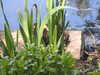 20200509134424-DSCN2307.JPG