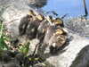 20200509134529-DSCN2313.JPG