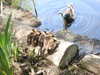 20200509134544-DSCN2316.JPG