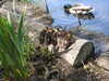 20200509134605-DSCN2317.JPG