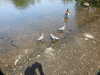 20200509135018-DSCN2319.JPG
