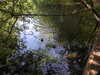 20200509135710-DSCN2321.JPG