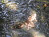 20200509135729-DSCN2322.JPG