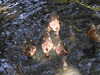 20200509135736-DSCN2323.JPG