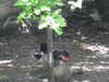 20200509135808-DSCN2324.JPG