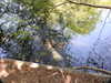20200509135818-DSCN2325.JPG