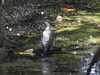 20200509135850-DSCN2327.JPG