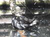20200509140003-DSCN2328.JPG