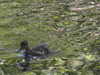 20200509140045-DSCN2330.JPG