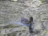 20200509140050-DSCN2331.JPG
