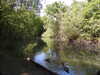 20200509140106-DSCN2332.JPG
