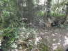 20200509140253-DSCN2334.JPG