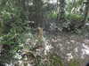 20200509140306-DSCN2335.JPG