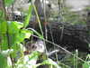 20200509140533-DSCN2338.JPG