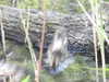 20200509140543-DSCN2339.JPG