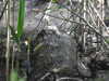 20200509140628-DSCN2340.JPG