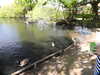 20200509141055-DSCN2348.JPG