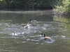 20200509141440-DSCN2357.JPG