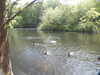 20200509141550-DSCN2359.JPG