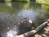 20200509141615-DSCN2360.JPG