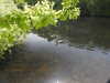 20200509141749-DSCN2361.JPG