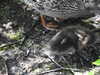 20200509141821-DSCN2362.JPG