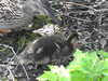 20200509141823-DSCN2363.JPG