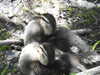 20200509141836-DSCN2364.JPG
