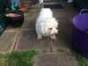 2020-05-13:Ellie and sdcard
